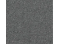 Poltrona| Poltrona | Cadeira Relax com apoio de braços 74x84x100 cm tecido cinzento-escuro SHL345618 Cinza antracite