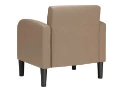 Discount Poltrona | Cadeira Relax com apoios de braços 54 cm couro artificial cappuccino SHL33583 Castanho