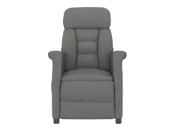 Sale vidaxl poltrona Cinza Escuro 96,5 x 70,5 x 95 cm Microfibra Cinzento