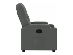 Best Poltrona Confortável | Poltrona reclinável em tecido cinza escuro SHL685727 Cinza antracite