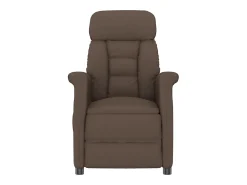 Poltrona| Poltrona Confortável | Poltrona Reclinável Marrom escuro 70.5x96.5x95 cm SHL998759 Castanho