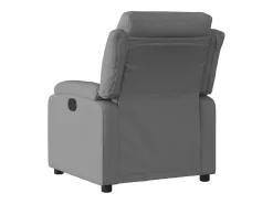 Poltrona* Poltrona Reclinável | Poltrona Confortável Relax tecido cinzento-escuro SHL386958 Cinza antracite