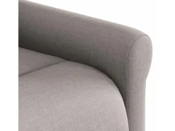 Poltrona* Poltrona Reclinável | Poltrona Confortável Relax tecido cinzento-acastanhado SHL706485 Taupe