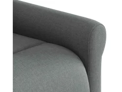 Poltrona* Poltrona Reclinável | Poltrona Confortável Relax tecido cinzento-escuro SHL548152 Cinza antracite