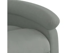 Online vidaxl Poltrona reclinável elevatória veludo cinza-claro Cinzento