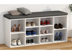 Hot VCM Prateleira de sapato de madeira | Dimensões aprox. A. 50 x L. 104 x P. 30 cm | Sapato cômoda com 10 compartimentos | Armário para sapatos - Hinsol S (Branco) Multicor