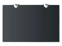 vidaxl Prateleira flutuante vidro 30x20 cm 8 mm^ Prateleira