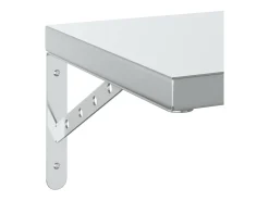 vidaxl Prateleiras de parede 2 pcs 50x30 cm aço inoxidável^ Prateleira