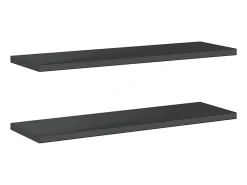 Prateleira|vidaxl Prateleiras de parede 2 pcs 100x30x3 cm aço inoxidável prateado Preto