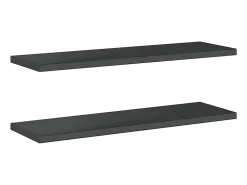 Prateleira|vidaxl Prateleiras de parede 2 pcs 100x30x3 cm aço inoxidável prateado Preto