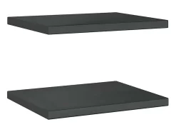 Prateleira*vidaxl Prateleiras de parede 2 pcs 50x40x3 cm aço inoxidável prateado Preto
