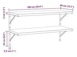 Prateleira|vidaxl Prateleiras de parede 2 pcs 100x40 cm aço inoxidável prateado Preto
