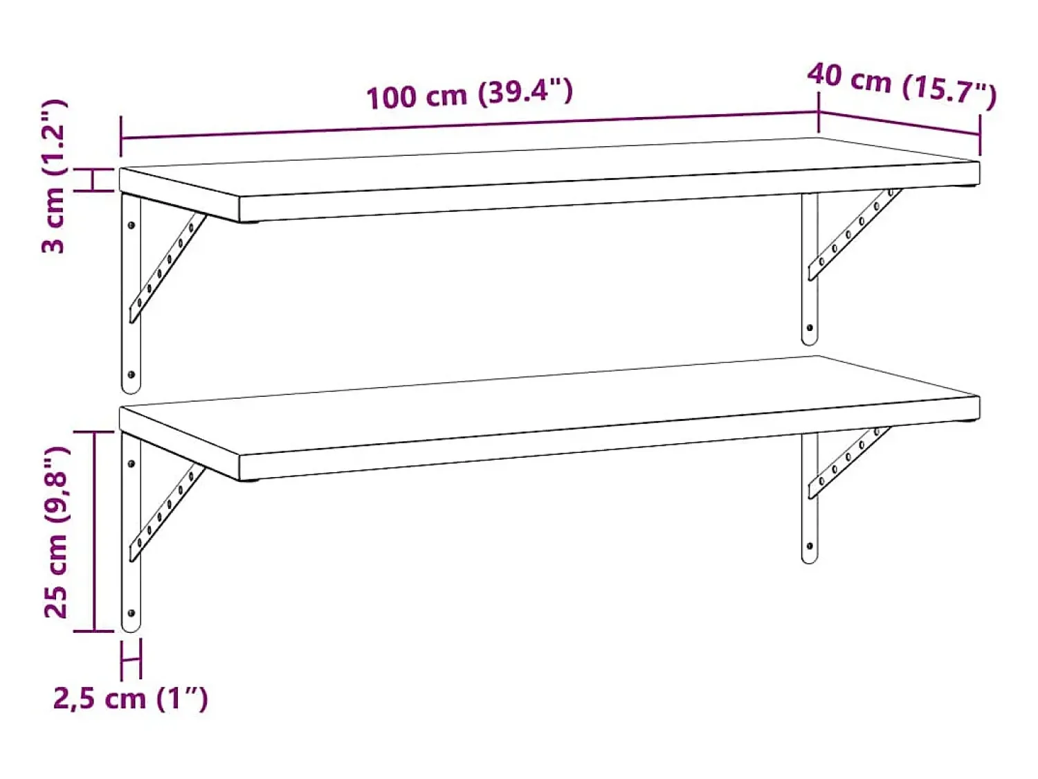 Prateleira|vidaxl Prateleiras de parede 2 pcs 100x40 cm aço inoxidável prateado Preto