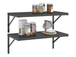 vidaxl Prateleiras de parede 2 pcs 75x40x3 cm aço inoxidável prateado^ Prateleira