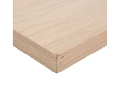 Prateleira|vidaxl Prateleiras flutuantes 2 pcs 50x23,5x4 cm derivados de madeira Castanho