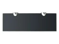 Prateleiras flutuantes 2 pcs vidro 30x10 cm 8 mm PT985981^ Prateleira