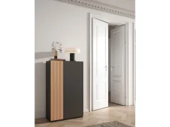 Móvel De Arrumação|Sapateira|Herdasa Sapateira - A122cm x L70cm x P35cm grafite porta serigrafada serrado - Akra Cinza antracite