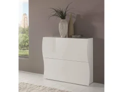 Dmora Sapateira Dabayom, Armário multiuso com 2 portas dobráveis, Sapateira de entrada, 100% Fabricado na Itália, 101x27h82 cm, brilhante Branco