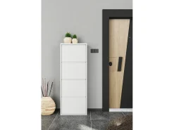 Dmora Sapateira Danastasi, Sapateira de metal, Armário de entrada multiuso, Armário de calçado, 50x15h138 cm,^ Móvel De Arrumação|Sapateira
