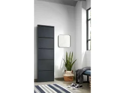 Dmora Sapateira Dandracchi, Sapateira de metal,Armário de entrada multiuso,Armário para calçado, 50x15h172 cm,^ Móvel De Arrumação|Sapateira