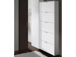 Dmora Sapateira Danobile, Sapateira com 5 portas dobráveis, Sapateira de entrada alta, Sapateira moderna, 70x17h180 cm, brilhante^ Móvel De Arrumação|Sapateira