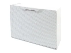 Móvel De Arrumação|Sapateira|Dmora Sapateira Darmitan, Sapateira que economiza espaço, Sapateira de entrada, Sapateira de 1 porta, 100% Made in Italy, 51x17h40 cm, Branco