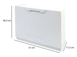 Móvel De Arrumação|Sapateira|Dmora Sapateira Darmitan, Sapateira que economiza espaço, Sapateira de entrada, Sapateira de 1 porta, 100% Made in Italy, 51x17h40 cm, Branco