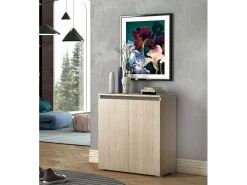 Dmora Sapateira DbAllarin, Armário multiuso, Sapateira economizador de espaço com 2 portas, Armário de arrumação com prateleiras, 100% Made in Italy, 80x37h102 cm, Olmo^ Móvel De Arrumação|Sapateira