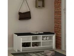 Móvel De Arrumação|Sapateira|Dmora Sapateira Dbarrec, Sapateira, Armário de entrada multiuso, Armário de calçado, 110x37h43 cm, Branco