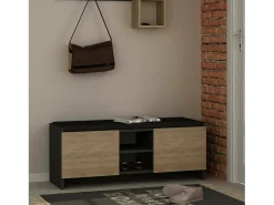 Discount Dmora Sapateira Dbarrec, Sapateira, Armário de entrada multIuso, Armário para calçado, 110x37h43 cm, Antracite e Carvalho Preto