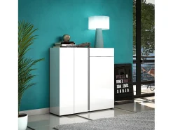 Móvel De Arrumação|Sapateira|Dmora Sapateira Dbianchett, Sapateira, Armário de entrada multiusos, Armário para calçado, Made in Italy, 120x33h115 cm, brilhante e Antracite Branco