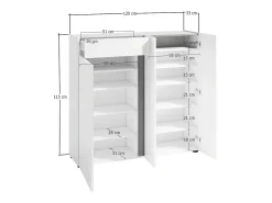 Móvel De Arrumação|Sapateira|Dmora Sapateira Dbianchett, Sapateira, Armário de entrada multiusos, Armário para calçado, Made in Italy, 120x33h115 cm, brilhante e Antracite Branco
