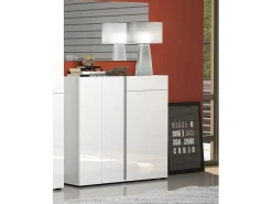 Móvel De Arrumação|Sapateira|Dmora Sapateira Dbianchett, Sapateira, Armário de entrada multiusos, Armário para calçado, Made in Italy, 120x33h115 cm, brilhante e Antracite Branco