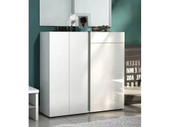 Móvel De Arrumação|Sapateira|Dmora Sapateira Dbianchett, Sapateira, Armário de entrada multiusos, Armário para calçado, Made in Italy, 120x33h115 cm, brilhante e Antracite Branco