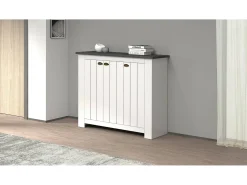 Online Dmora Sapateira Dcigarin, Sapateira com 3 portas com economia de espaço, Armário de entrada multifuncional, 114x42h100 cm, Branco e Ardósia Cinzento