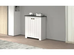 Hot Dmora Sapateira Dcittadin, Sapateira economizadora de espaço com 2 portas, Armário de entrada multifuncional, 84x42h100 cm, Branco e Ardósia Cinzento