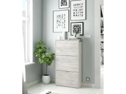 Móvel De Arrumação|Sapateira*Dmora Sapateira Dcosta, guarda-roupa com 3 portas sanfonadas, armário de dupla capacidade para até 18 pares de sapatos, 70x17h180 cm, Branco