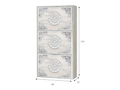 Móvel De Arrumação|Sapateira|Dmora Sapateira Dcosta, guarda-roupa com 3 portas sanfonadas, armário de dupla capacidade para até 18 pares de sapatos, 60x22h113 cm, antigo Branco