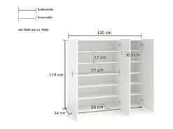 Móvel De Arrumação|Sapateira*Dmora Sapateira Ddickman, Sapateira, Armário de entrada multiuso, Armário de calçado, Made in Italy, 120x34h115 cm, brilhante Branco