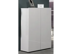 Móvel De Arrumação|Sapateira*Dmora Sapateira Ddimolfett, Armário de sapatos, Armário de entrada multiusos, Armário de calçado, Made in Italy, 80x34h115 cm, brilhante Branco