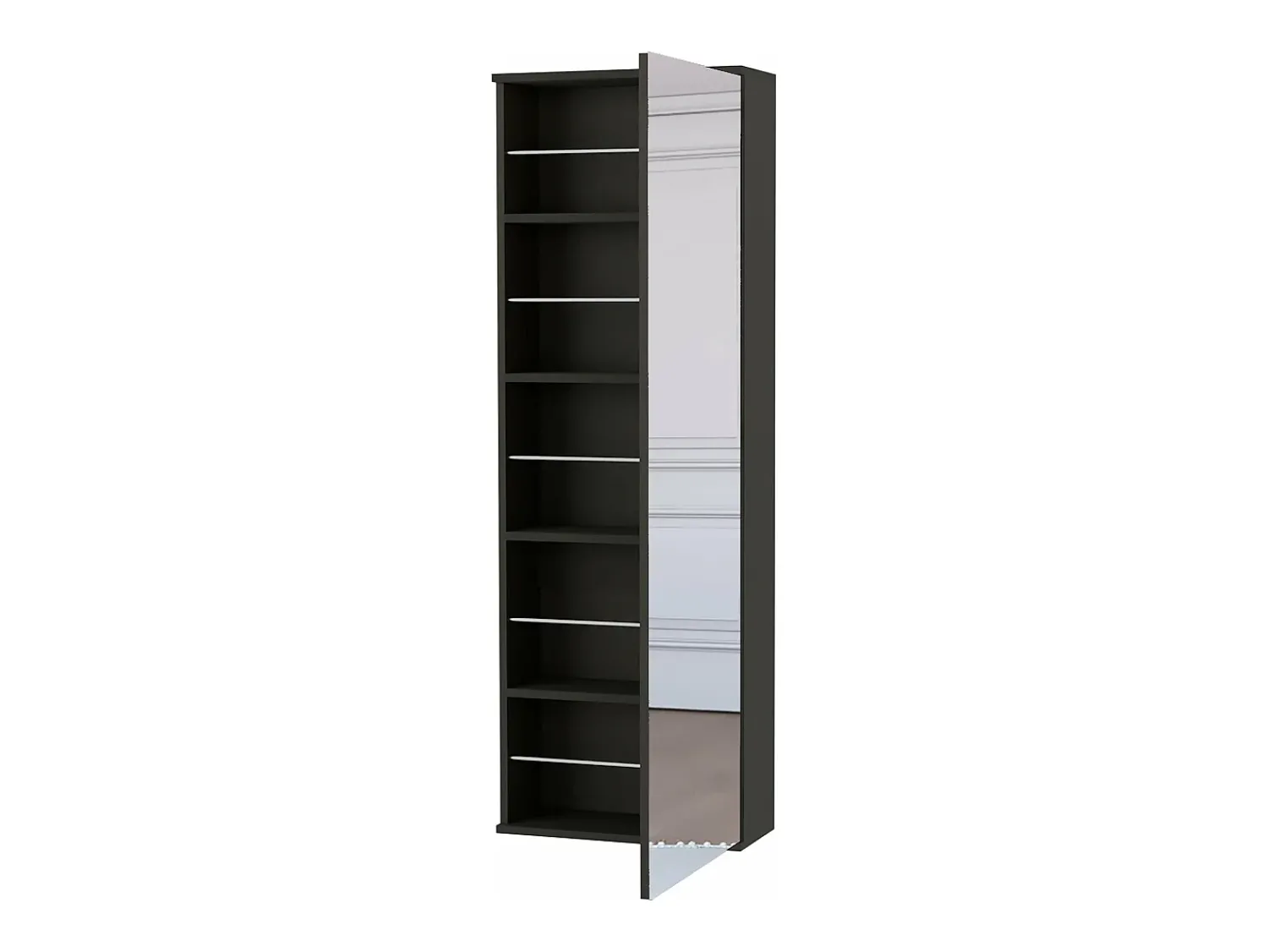Móvel De Arrumação|Sapateira*TuHome Sapateira de parede Leto com espelho, estilo moderno e espaço, 137.92 cm X 46.99 cm X 20.57 cm , Preto