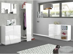 Móvel De Arrumação|Sapateira|Dmora Sapateira Dfogl, Armário multiuso com 2 portas, Sapateira de entrada, 100% Fabricado na Itália, 81x38h86 cm, brilhante com detalhe Branco