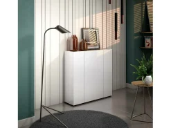 Móvel De Arrumação|Sapateira|Dmora Sapateira Dgarritan, porta-sapatilhas móvelE, Armário de entrada multiusos, Armário para calçado, Made in Italy, 116x35h115 cm, brilhante e carvalho Branco