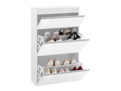 Móvel De Arrumação|Sapateira*Dmora Sapateira Dlogarz, Armário multiuso com 2 portas e 1 porta basculante, Sapateira de entrada, 100% Fabricado na Itália, 60x27h108 cm, brilhante Branco