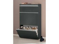 Móvel De Arrumação|Sapateira|Dmora Sapateira Dlogarz, Armário multiuso com 2 portas e 1 porta basculante, Sapateira de entrada, 100% Fabricado na Itália, 60x27h108 cm, Antracite brilhante Preto