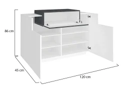 New Dmora Sapateira Dlucc, armário multiuso com 2 portas e 1 porta sanfonada, sapateira de entrada, 100% Fabricado na Itália, 120x45h86 cm, brilhante e ardósia Branco
