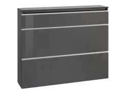 Dmora Sapateira Dlukak, Armário multiuso com 2 portas e 1 porta basculante, Sapateira de entrada, 100% Fabricado na Itália, 120x27h108 cm, Antracite brilhante Preto