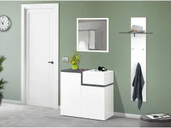 Dmora Sapateira Dmaric, armário multiuso com 2 portas e 1 porta basculante, sapateira de entrada, 100% Fabricado na Itália, 80x40h80 cm, brilhante e ardósia^ Móvel De Arrumação|Sapateira