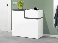 Dmora Sapateira Dmaric, armário multiuso com 2 portas e 1 porta basculante, sapateira de entrada, 100% Fabricado na Itália, 80x40h80 cm, brilhante e ardósia^ Móvel De Arrumação|Sapateira