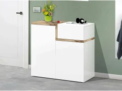 Móvel De Arrumação|Sapateira*Dmora Sapateira Dmaric, armário multiuso com 2 portas e 1 porta basculante, sapateira de entrada, 100% Fabricado na Itália, 80x40h80 cm, brilhante e bordo Branco
